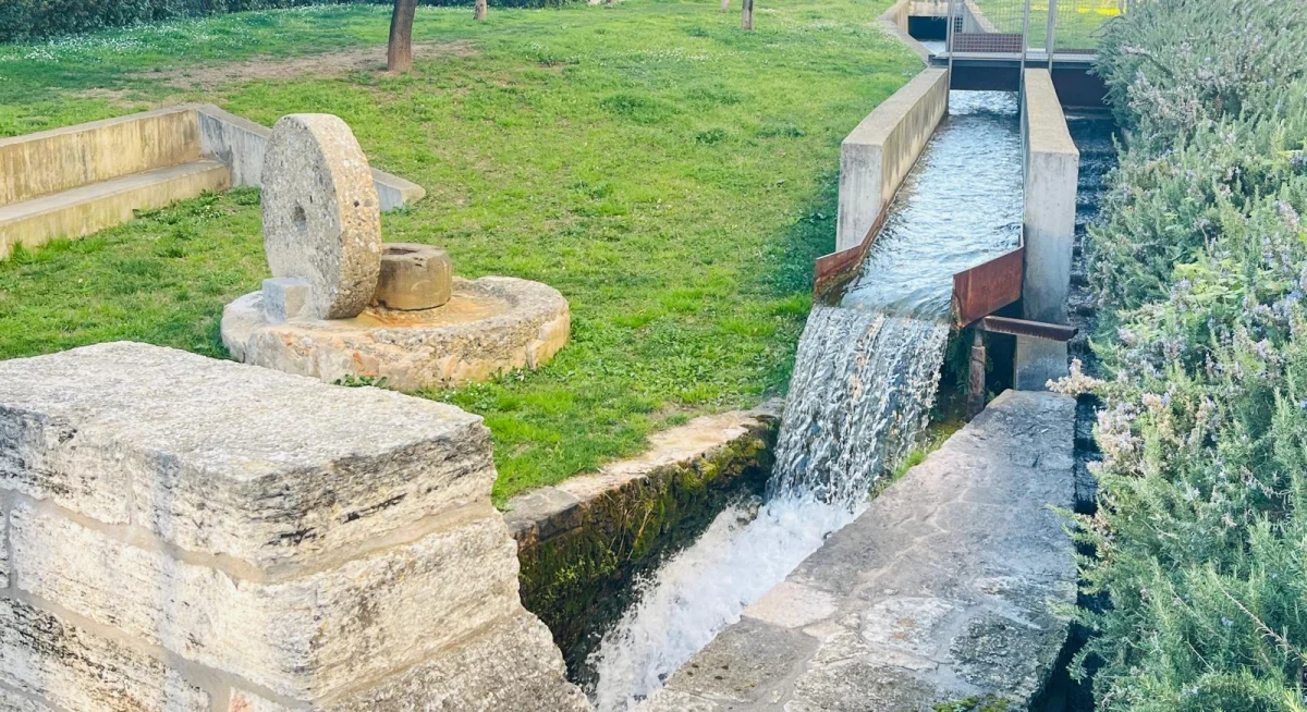Fluir como el agua: el arte de purificar la mente en un mundo saturado.