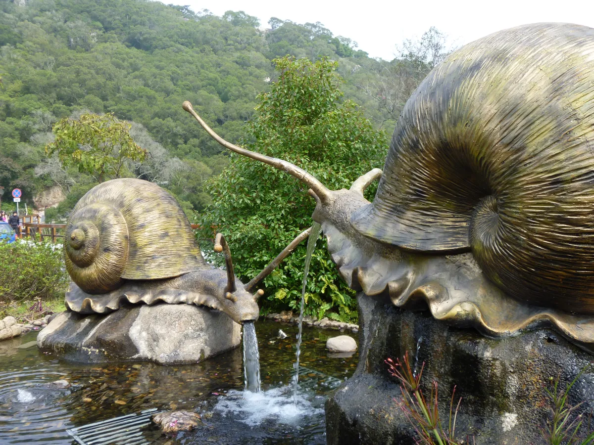 La Sabiduría de Avanzar Despacio